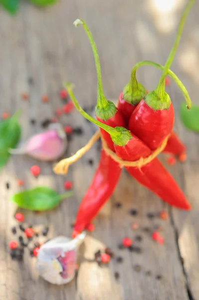 Bunch of red chilies — Stock Photo, Image