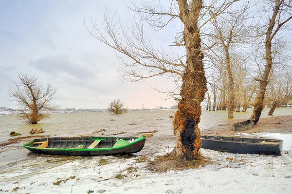 Barca verde sulla riva in inverno — Foto Stock