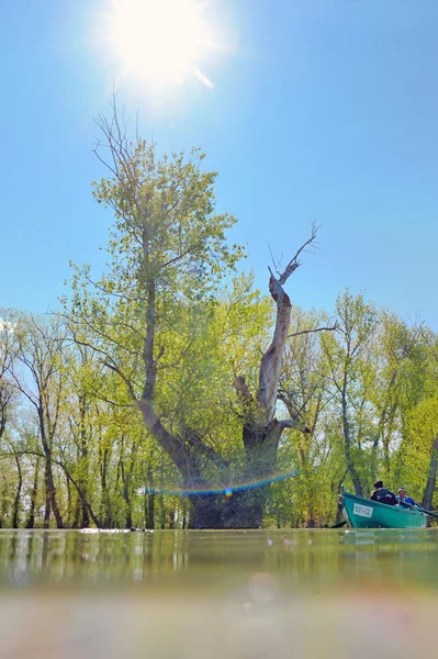 Boat in summer on danube river — Stock Photo, Image