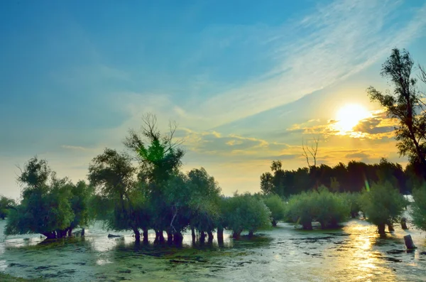 Pôr do sol no rio Danúbio — Fotografia de Stock