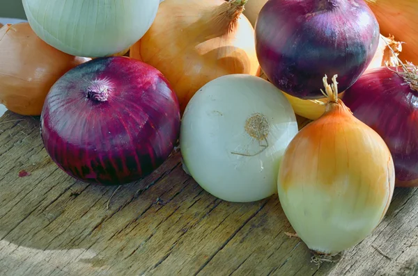 Onions different types, sizes and colors — Stock Photo, Image