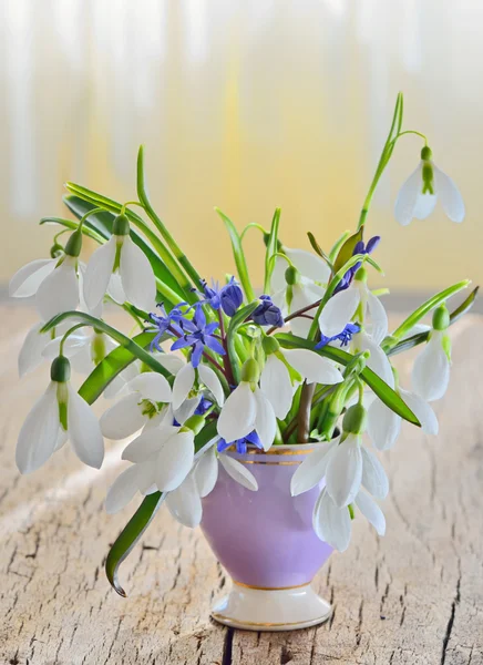 Schneeglöckchen in der Vase auf altem Holz — Stockfoto