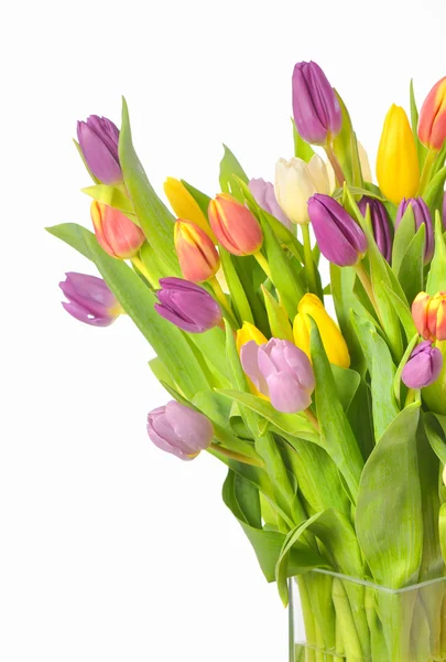 Buket dari tulip berwarna-warni — Stok Foto