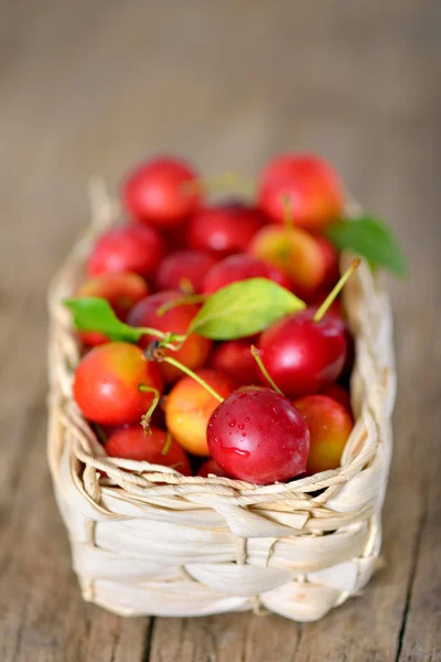 Cherry-plum in basket — Stock Photo, Image