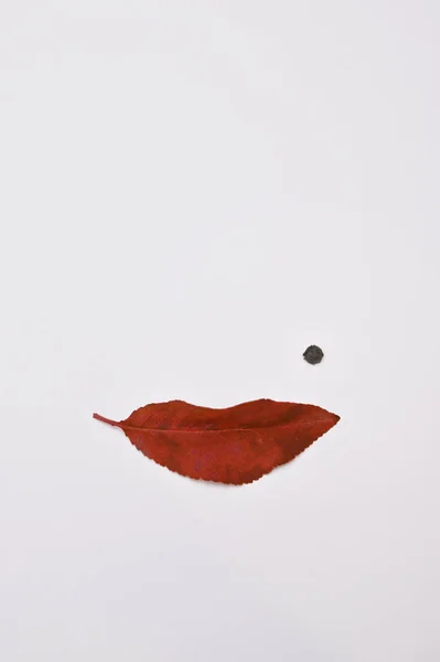 Abstract Woman Face Shape Lips Red Leaf Beauty Spo — стокове фото