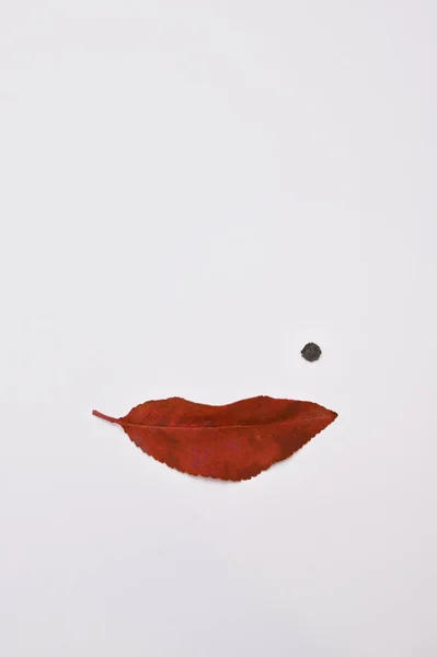 Cara Mujer Abstracta Forma Labios Hoja Roja Belleza Spo — Foto de Stock