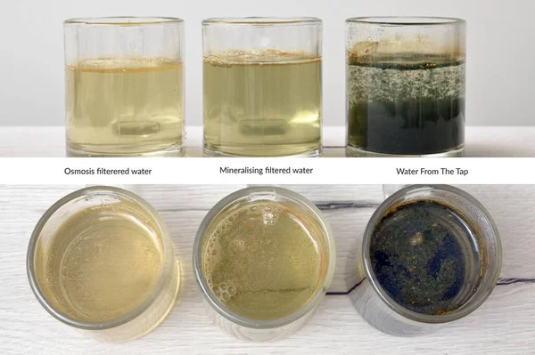 Water Quality Testing Using Electrolyzer Osmosis Filterered Water Mineralising Filtered Imágenes De Stock Sin Royalties Gratis
