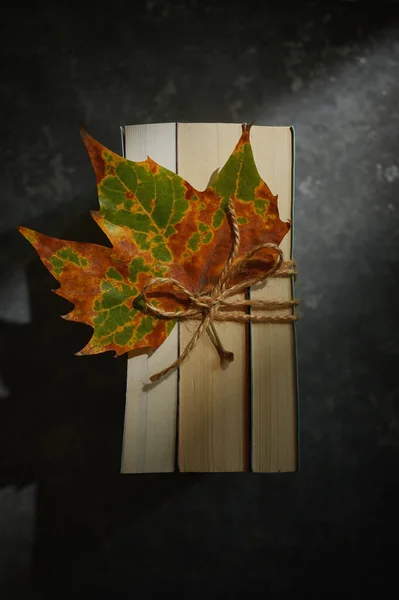 Осенний Сухой Лист Закрытых Книгах Связанных Сверху — стоковое фото