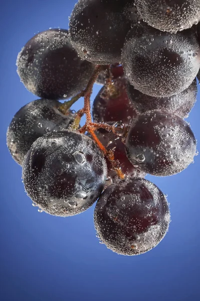 Streszczenie Zbliżenie Winogrona Bąbelkami Wody — Zdjęcie stockowe