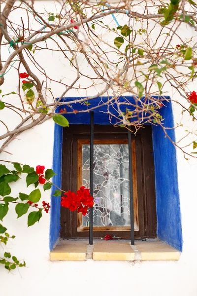 Mediterranes Fenster mit Blumen — Stockfoto