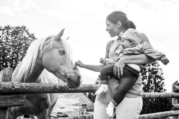 Mãe Com Sua Filha Divertindo Fazenda Encontrar Cavalo Conceito Terapia — Fotografia de Stock