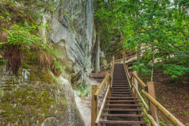 Letonya 'da Gauja nehrinin kıyısındaki Sietiniezis' in kumtaşı kayalıkları