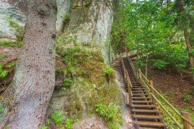 Letonya 'da Gauja nehrinin kıyısındaki Sietiniezis' in kumtaşı kayalıkları