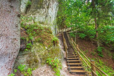 Letonya 'da Gauja nehrinin kıyısındaki Sietiniezis' in kumtaşı kayalıkları