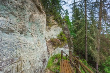 Letonya 'da Gauja nehrinin kıyısındaki Sietiniezis' in kumtaşı kayalıkları