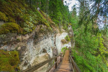 Letonya 'da Gauja nehrinin kıyısındaki Sietiniezis' in kumtaşı kayalıkları