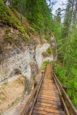 Letonya 'da Gauja nehrinin kıyısındaki Sietiniezis' in kumtaşı kayalıkları