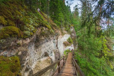 Letonya 'da Gauja nehrinin kıyısındaki Sietiniezis' in kumtaşı kayalıkları