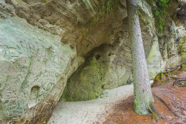 Pískovcové útesy Sietiniezis na břehu řeky Gauja v Lotyšsku — Stock fotografie