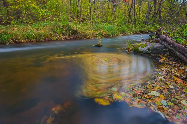 Gefallene Blätter drehen sich im Fluss, ein Strudel aus gelben Blättern — Stockfoto