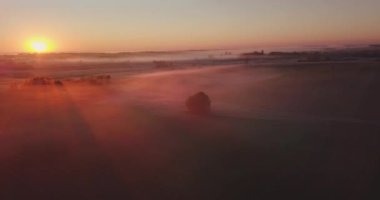 Uçan kuşlarla muhteşem bir Gündoğumu Puslu Arazi. Misty Park çayırlarında sisli bir sabah manzarası. Doğu Avrupa 'nın Yaz Doğası. Sunset Dramatik Gün Işığı Işını.