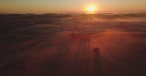 Niesamowite światło wschodu słońca nad mglistym krajobrazem. Widok na mglisty poranek w Misty Forest Park Woods. Letnia natura Europy Wschodniej. Zachód słońca Dramatyczny promień słońca. — Wideo stockowe