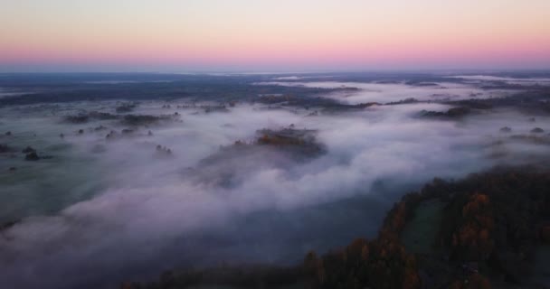 Amazing Sunrise Light Above Misty Landscape. Scénický pohled na mlhavé ráno v lesích Mlžného lesa. Letní příroda východní Evropy. Západ slunce Dramatický sluneční paprsek. — Stock video