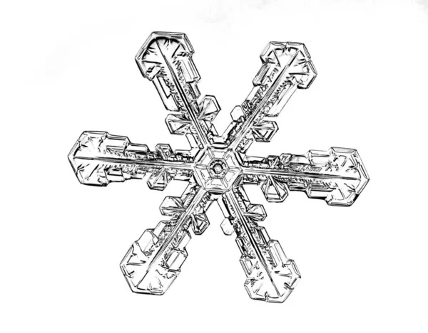 Czarny płatek śniegu izolowany na białym tle. Ilustracja na podstawie makro zdjęcia prawdziwego kryształu śniegu: elegancka płyta gwiezdna z krótkimi, szerokimi ramionami, błyszczącą powierzchnią reliefu i złożonymi detalami wewnętrznymi. — Zdjęcie stockowe
