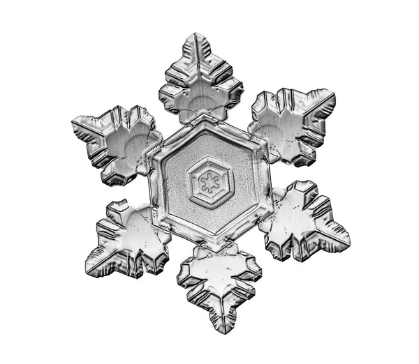 白い背景に黒い雪の結晶が孤立している。雪の結晶のマクロ写真に基づくイラスト:短い、広い腕を持つエレガントなスタープレート、光沢のあるレリーフ表面と複雑な内側の詳細. — ストック写真