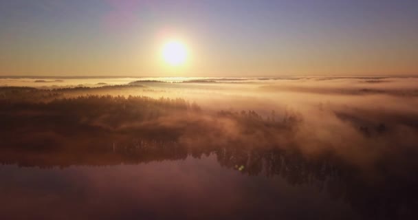 Verbazingwekkend zonsopgang Licht boven Misty Landscape. Scenic View van mistige ochtend in Misty Forest Park Woods. Zomer natuur van Oost-Europa. Zonsondergang Dramatische zonnestraal Licht Zonnestraal. — Stockvideo
