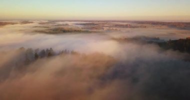 İnanılmaz Gündoğumu Işığı Puslu Manzara 'nın Üzerinde. Sisli Orman Park Ormanında Sisli Sabahın Manzarası. Doğu Avrupa 'nın Yaz Doğası. Sunset Dramatik Gün Işığı Işını.