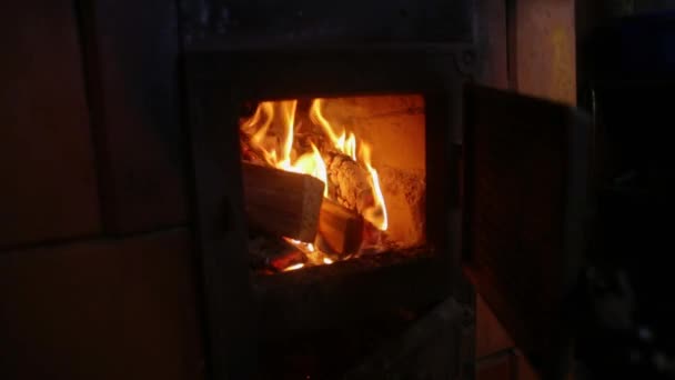 Trästockar brinner vid eldstaden på vintern — Stockvideo