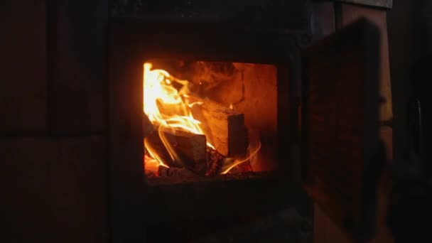 Trästockar brinner vid eldstaden på vintern — Stockvideo