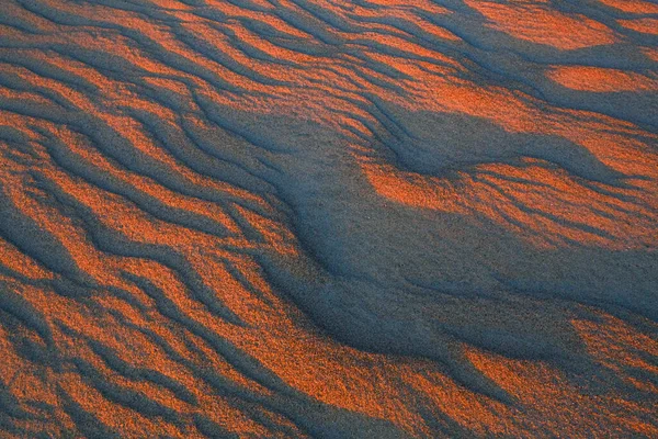 Şafaktan önce kumdaki dalgalı ve dar desenler — Stok fotoğraf