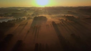 Sabah güneşli sisli tarlaların hava görüntüsü. Güneş sisin içindeki ağaçların arasından geçer ve uzun kirişler oluşturur. Orman doğası geçmişi