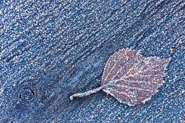 Foglia congelata su una superficie di legno, sfondo invernale, sfondo gelido — Foto Stock