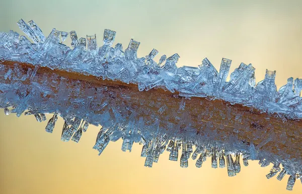 Cristaux de gel sur une herbe lors d'une journée froide d'hiver, photo rapprochée de cristaux de glace, journée ensoleillée d'hiver — Photo