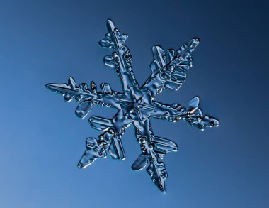 Yumuşak arkaplanda kar taneleri. Cam yüzeydeki gerçek kar kristalinin makro fotoğrafı. Bu sıra dışı desenli küçük bir kar tanesi..