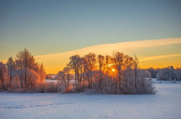 寒冷的冬日早晨，红色的阳光和霜冻覆盖在树上，严寒的冬日 — 图库照片