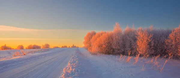 추운 겨울 아침붉은 햇빛 과 서리가 나무에 덮여 길, 극단적으로 추운 겨울 조건 — 스톡 사진
