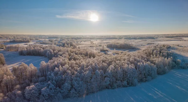 Fantastisk antenn vinter landskap bakgrund frost på grenar, extremt kalla miljö förhållanden, kall vinterdag med solljus — Stockfoto