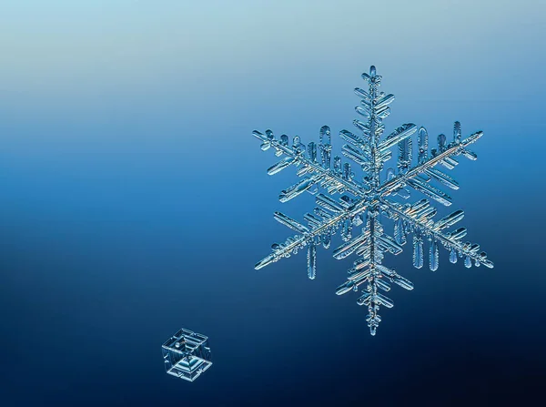 Zwei Schneeflocken auf glattem Gradienten-Hintergrund. Makroaufnahme von echtem Schneekristall auf Glasoberfläche. Das ist eine kleine Schneeflocke mit ungewöhnlichem Muster. — Stockfoto