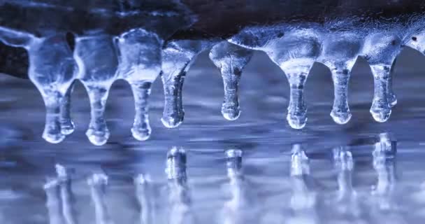 Kleine blauwe ijspegels in de rivier op een tak, winter uitzicht op ijspegels, timelapse video — Stockvideo