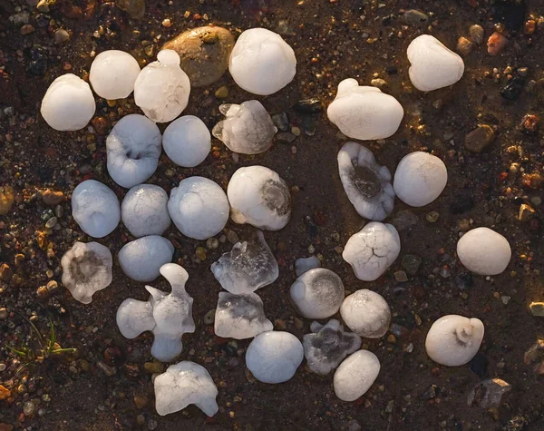 Hailstones the size of golf balls on a ground after severe storm — Stock Photo, Image