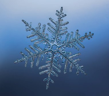 Yumuşak arkaplanda kar taneleri. Cam yüzeydeki gerçek kar kristalinin makro fotoğrafı. Bu sıra dışı desenli küçük bir kar tanesi..