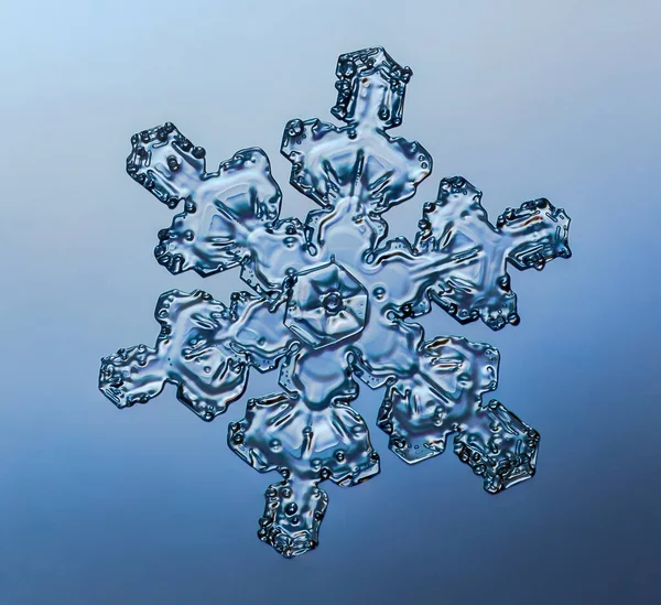 Floco de neve sobre fundo suave gradiente. Macro foto de cristal de neve real na superfície de vidro. Este é pequeno floco de neve com padrão incomum. — Fotografia de Stock