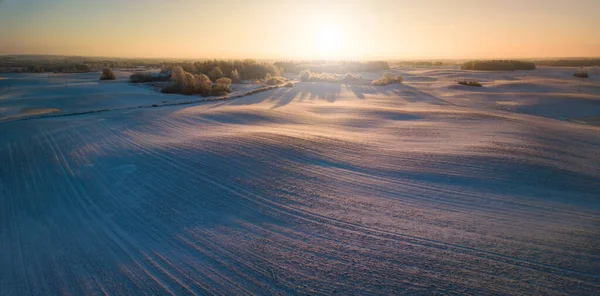 눈으로 덮인 겨울 하늘의 파노라마, 이른 아침 빛으로 덮인 물결치는 초원 — 스톡 사진