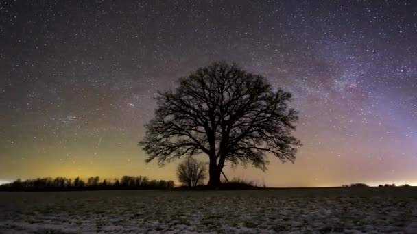 Starry constellations motion and rotating stars on winter night sky, universe outer space field 4k, slider timelapse movie — Vídeo de Stock