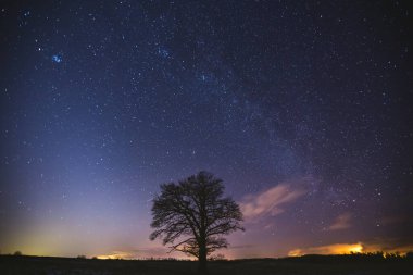 Renkli samanyolu ve ufukta zodyak ışığı olan gece manzarası