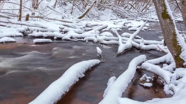 The wild frozen river in the winter wood atfter snow storm, the wild nature, ice, snow-covered stones, peace and quiet, 4k slider timelapse — Stock Video